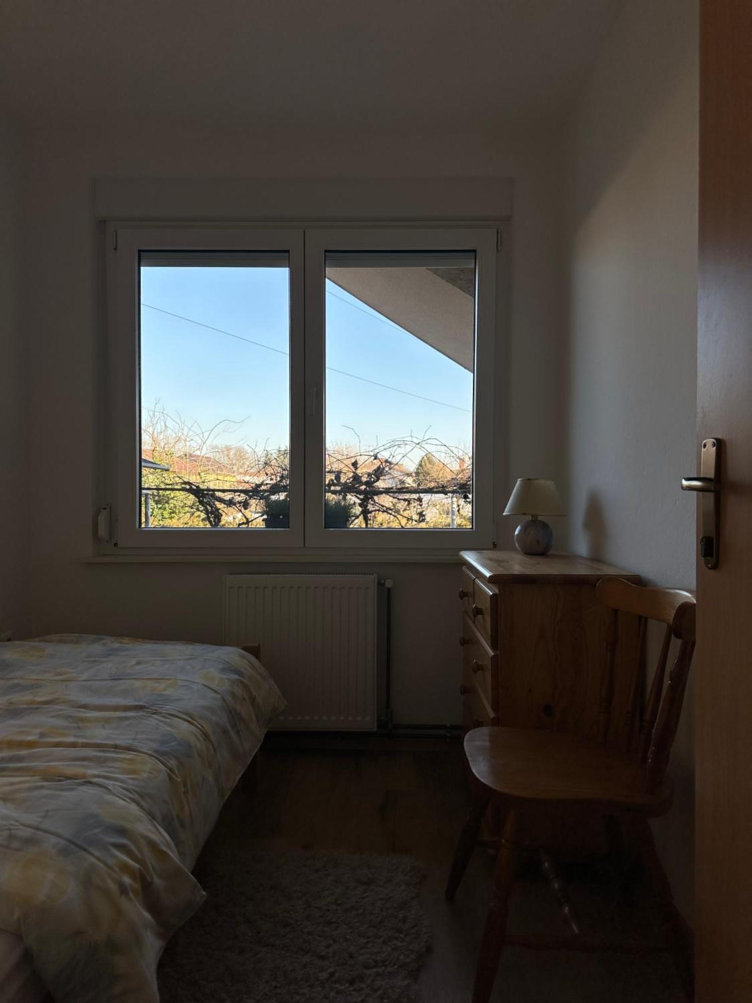 Vanessa Apartment Любляна Екстер'єр фото