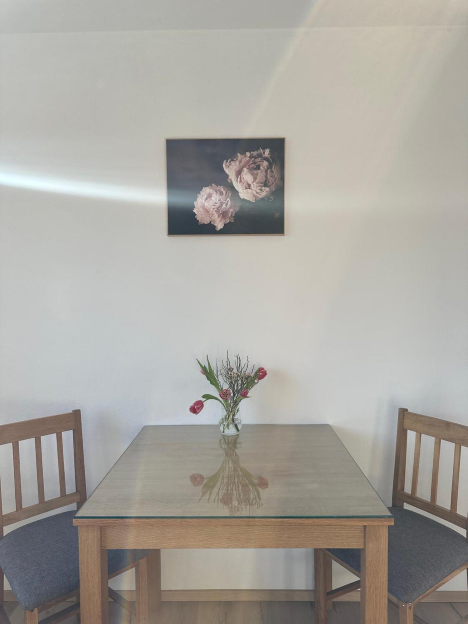 Vanessa Apartment Любляна Екстер'єр фото
